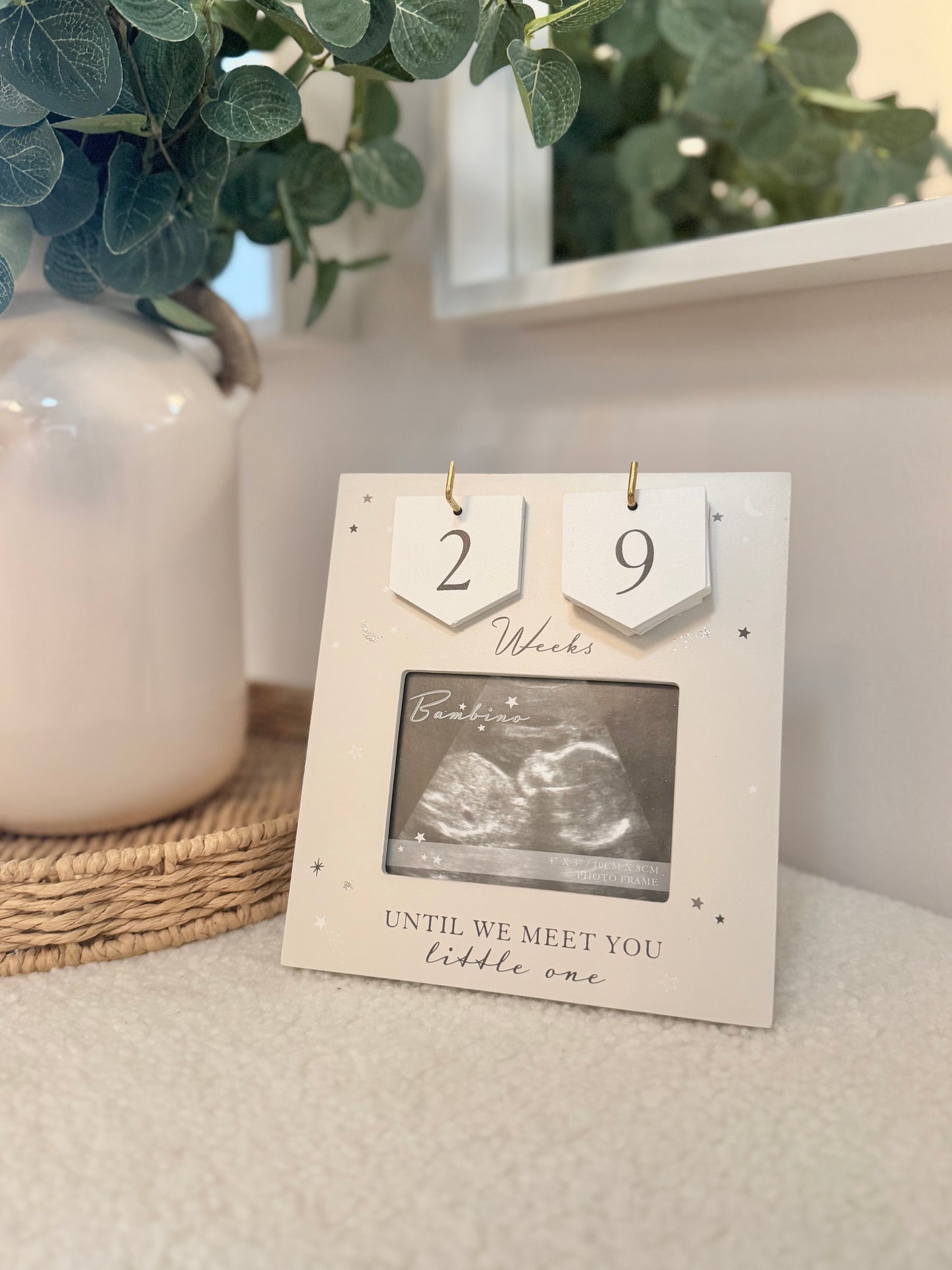 Baby Countdown Frame